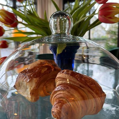 Hotel De Charme Le Chene Vert 브리브라가야르드 외부 사진