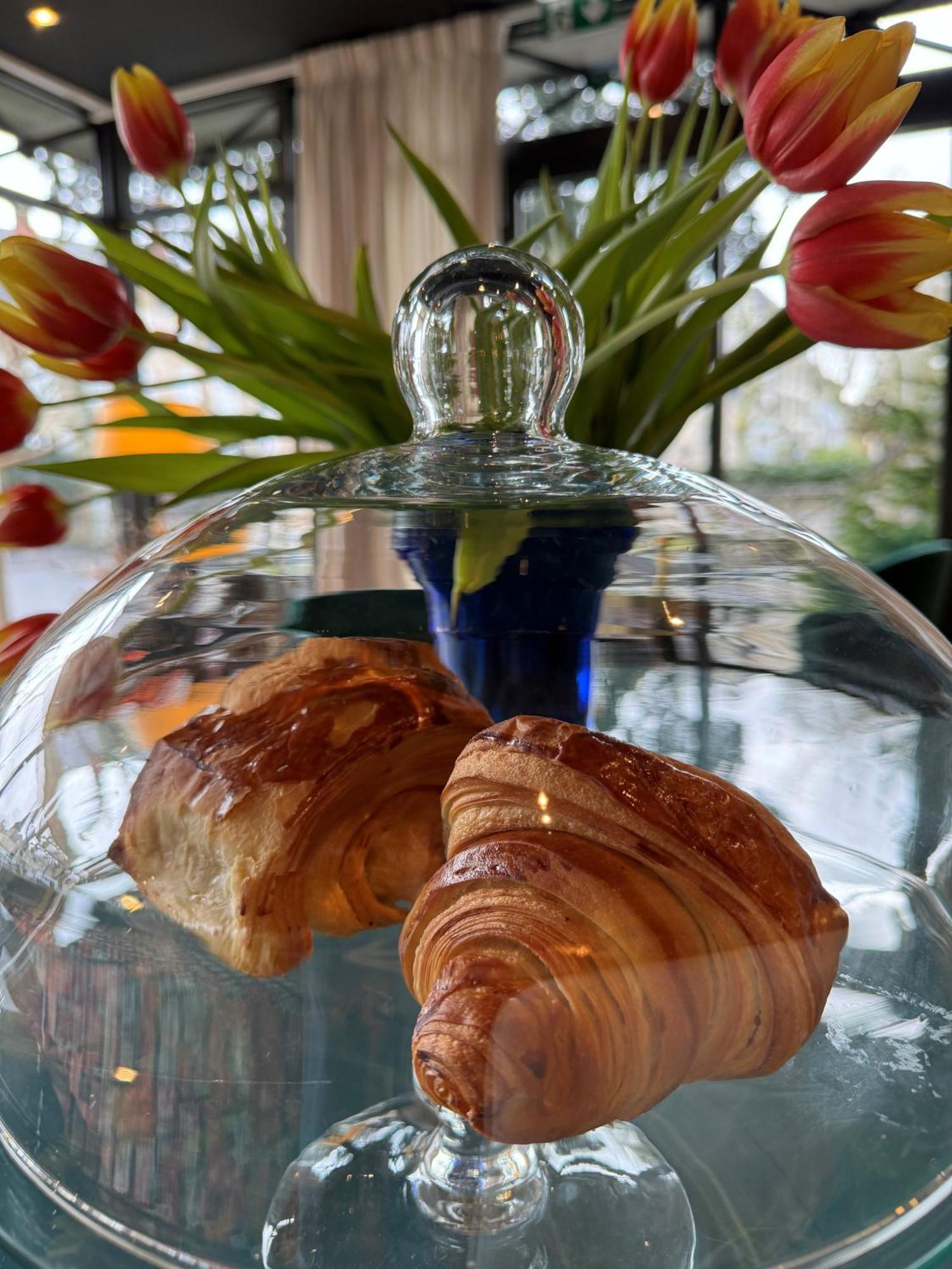 Hotel De Charme Le Chene Vert 브리브라가야르드 외부 사진